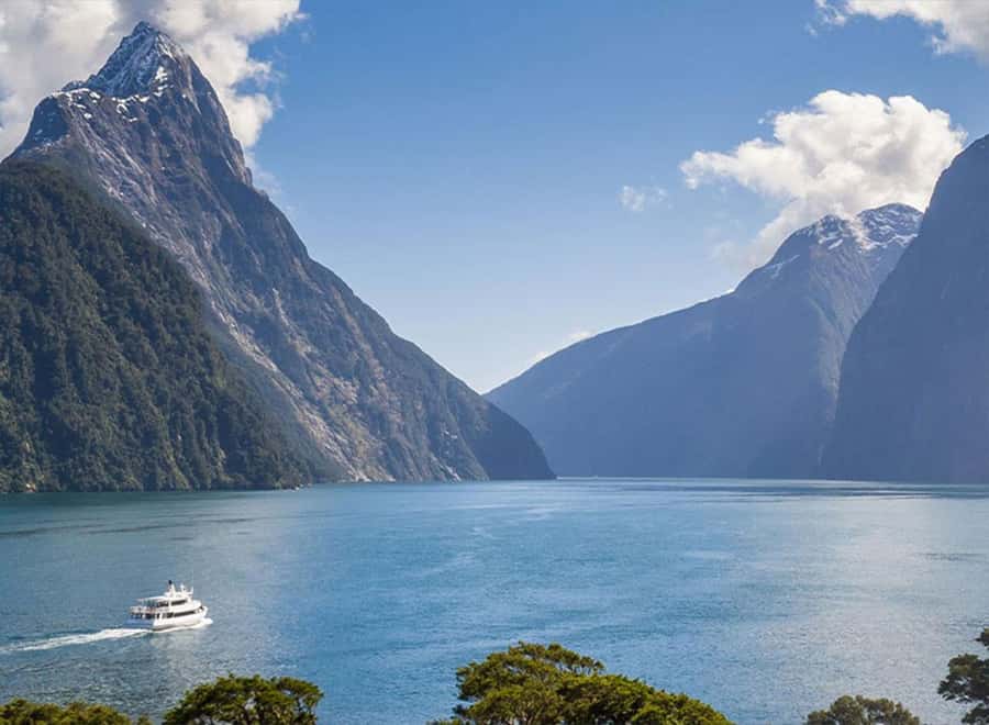 Milford Sound: Small-Group Tour from Te Anau - Key things to know before booking