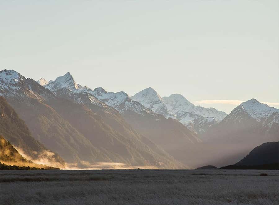 Milford Sound: Small-Group Tour from Te Anau - Lunch, comfort, and the value of the small group