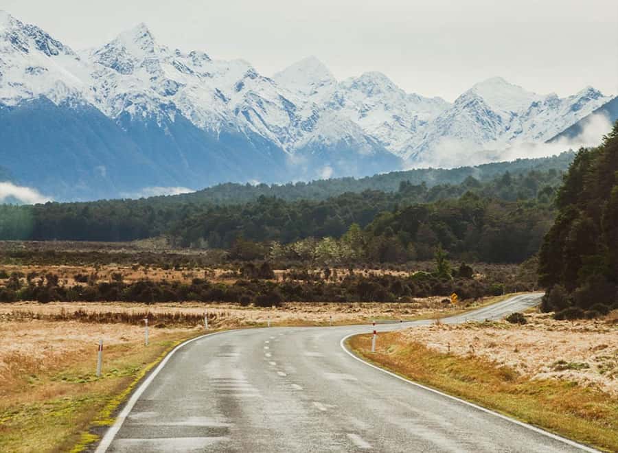 Milford Sound: Small-Group Tour from Te Anau - Wildlife, weather, and what you can really expect