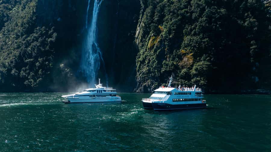 Milford Sound: Waterfalls, Wildlife, and Rainforest Cruise - Moving through Milford Sound