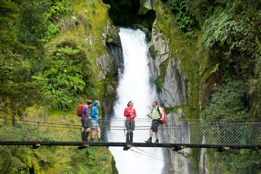 Milford Track: Full Day Guided Hike and Nature Cruise - Key points at a glance