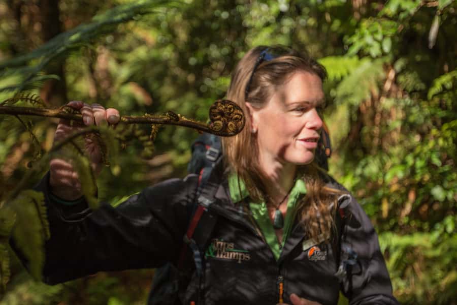 Milford Track: Full Day Guided Hike and Nature Cruise - Why pairing the Milford Track with a cruise works