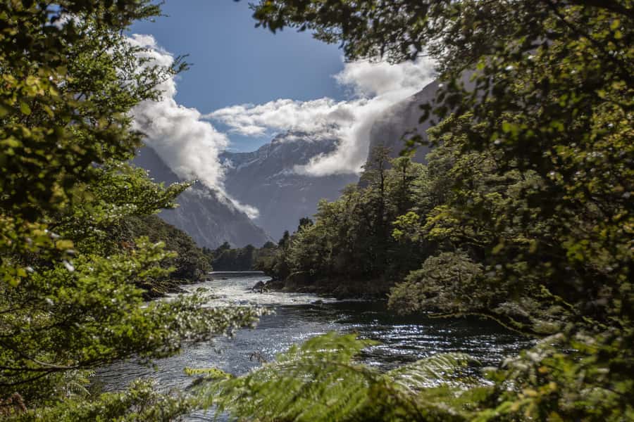 Milford Track: Full Day Guided Hike and Nature Cruise - Crossing Milford Sound to Sandfly Point