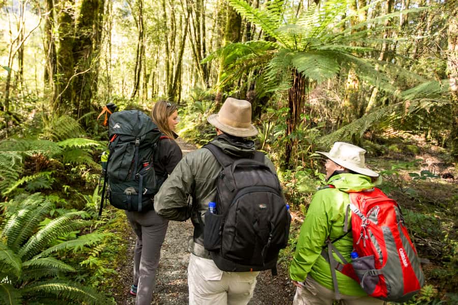 Milford Track: Full Day Guided Hike and Nature Cruise - Giant Gate Waterfall and the swing bridge