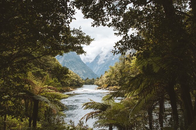 Milford Track Multi-Night Hike - Water Taxi Transport - What the service does well for multi-night hikers