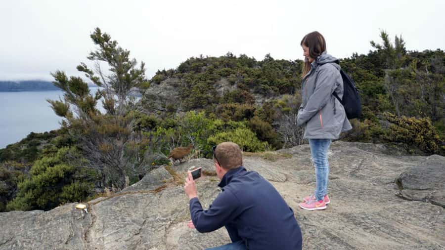 Mou Waho Island: 3-Hour Cruise and Guided Nature Walk - The 1-kilometer climb to the lake above the lake