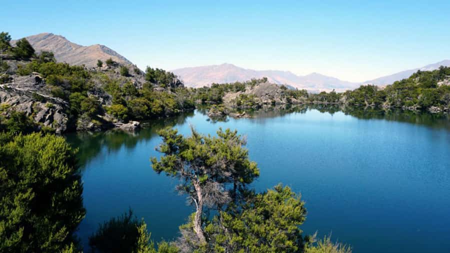 Mou Waho Island: 3-Hour Cruise and Guided Nature Walk - Is $101 a fair price for three hours?