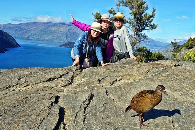 Mou Waho Island Cruise and Guided Nature Walk - The climb through Mou Waho Nature Reserve