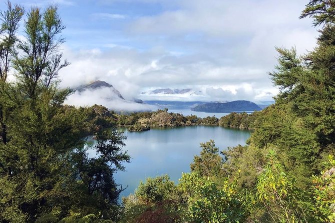 Mou Waho Island Cruise and Guided Nature Walk - Who should book this experience?