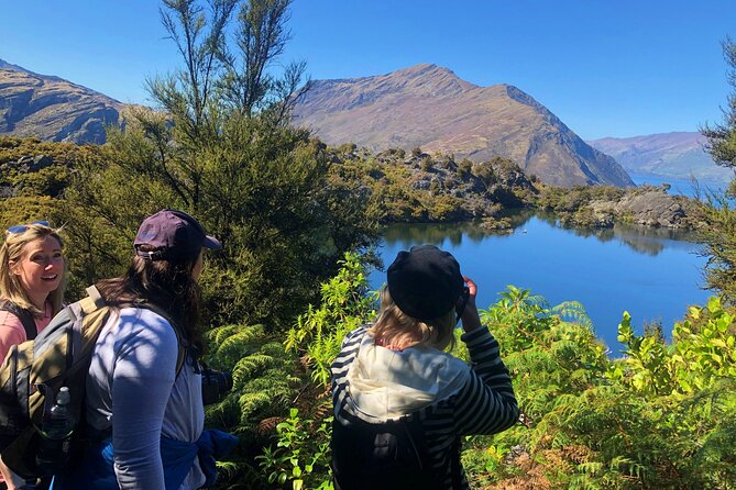 Mou Waho Island Cruise & Self-Guided Nature Walk - Landing on predator-free Mou Waho