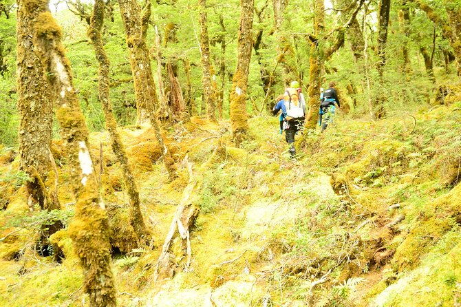 Mt Aspiring Full Day Canyon ex Queenstown or Wanaka - Why this canyoning trip feels different