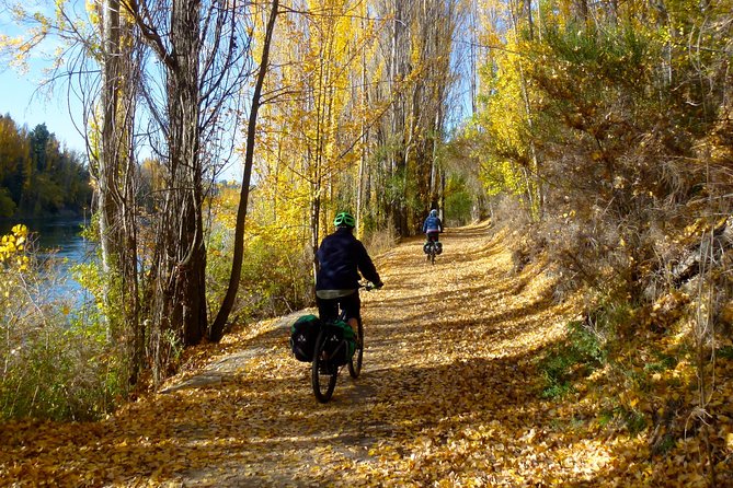 Otago Central Rail Trail One Day Wonder Cycle tour - The Ophir side trip and Tiger Hill