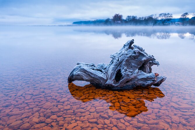 Photography Tour from Queenstown to Glenorchy - 1/2 Day - The best time to book and how far ahead