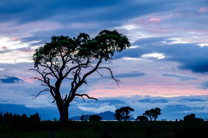 Photography Tour from Queenstown to Glenorchy - 1/2 Day - What to bring for better results
