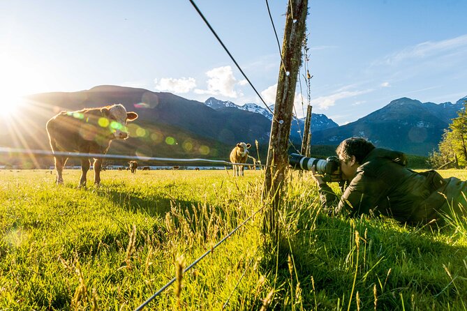Photography Tour from Queenstown to Glenorchy - 1/2 Day - Who will get the most from this tour