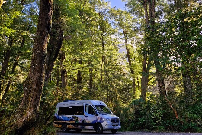Premium Milford Sound Small Group Tour & Cruise from Queenstown - Two hours on Milford Sound