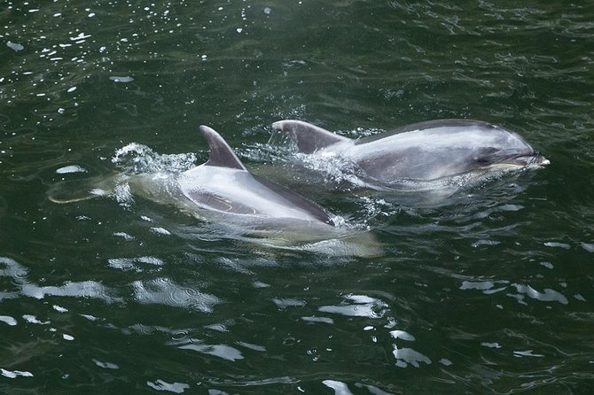 Premium Milford Sound Small Group Tour & Cruise from Queenstown - The return journey and Pops View Lookout