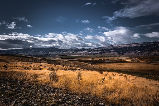 Private Central Otago Wine tasting Tour with Gourmet Lunch. - Arrowtown closes the day with a different kind of history