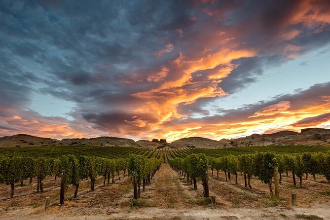 Private Central Otago Wine tasting Tour with Gourmet Lunch. - What the $462.33 price really covers