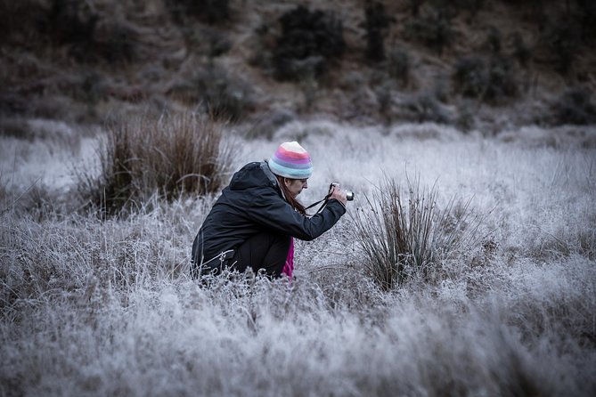 Private Half Day Photography Tour of Queenstown | Skippers | Glenorchy - The astrophotography option from February to November