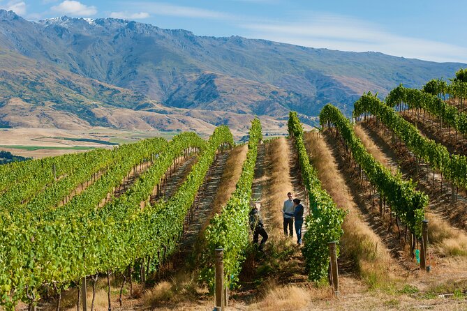 Private Queenstown Wine Tour All-Inclusive Tour - Leaving Queenstown in a luxury vehicle