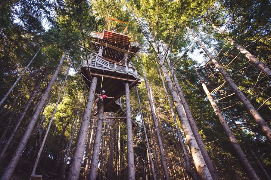 Queenstown: 1-Hour Zipline Tour with 2-Lines & 21-Meter Drop - The 21-meter drop, and why it feels different