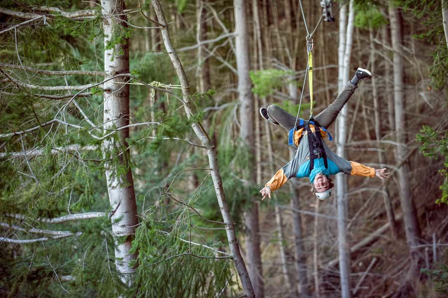 Queenstown: 2-Hour Zipline Tour with 4-Lines - Native forest, local stories, and practical learning