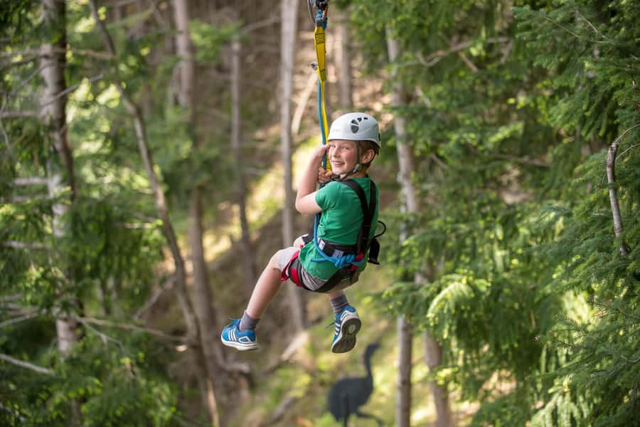 Queenstown: 2-Hour Zipline Tour with 4-Lines - The hidden physical demand: platforms and a downhill walk