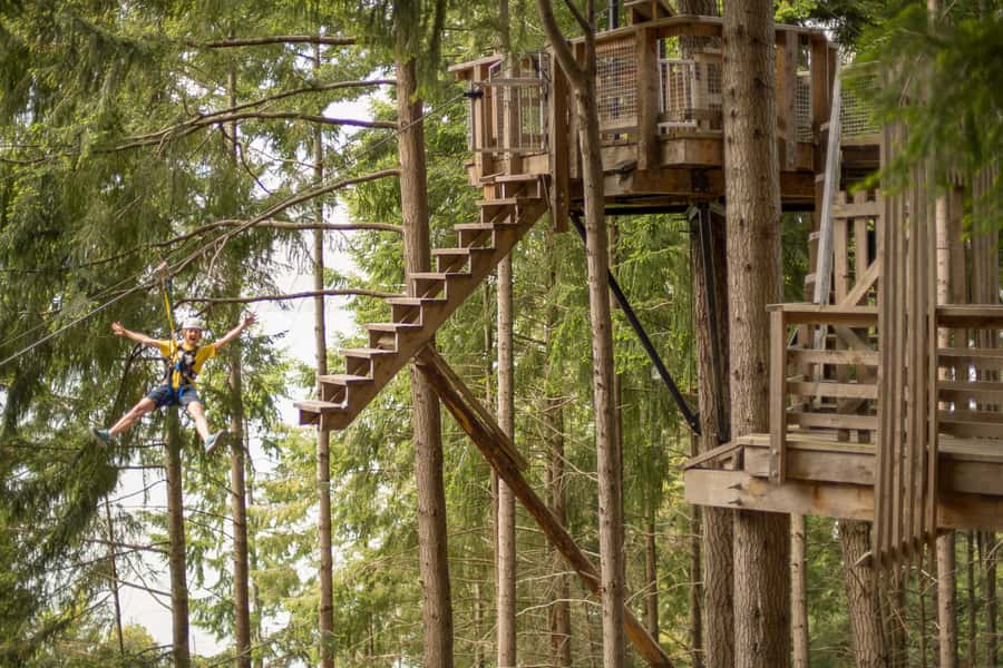 Queenstown: 3-Hour Zipline Adventure with 6-Lines - Starting high above Queenstown at Bob’s Peak
