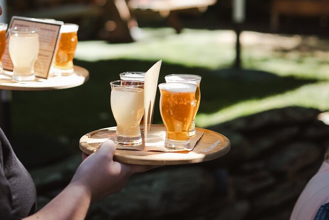 Queenstown: Afternoon Wine & Beer Tour with Platters - Quick takeaways for this Gibbston tasting tour