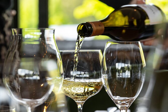 Queenstown Afternoon Wine Tour - Peregrine | Kinross | Amisfield - How the small group changes the experience