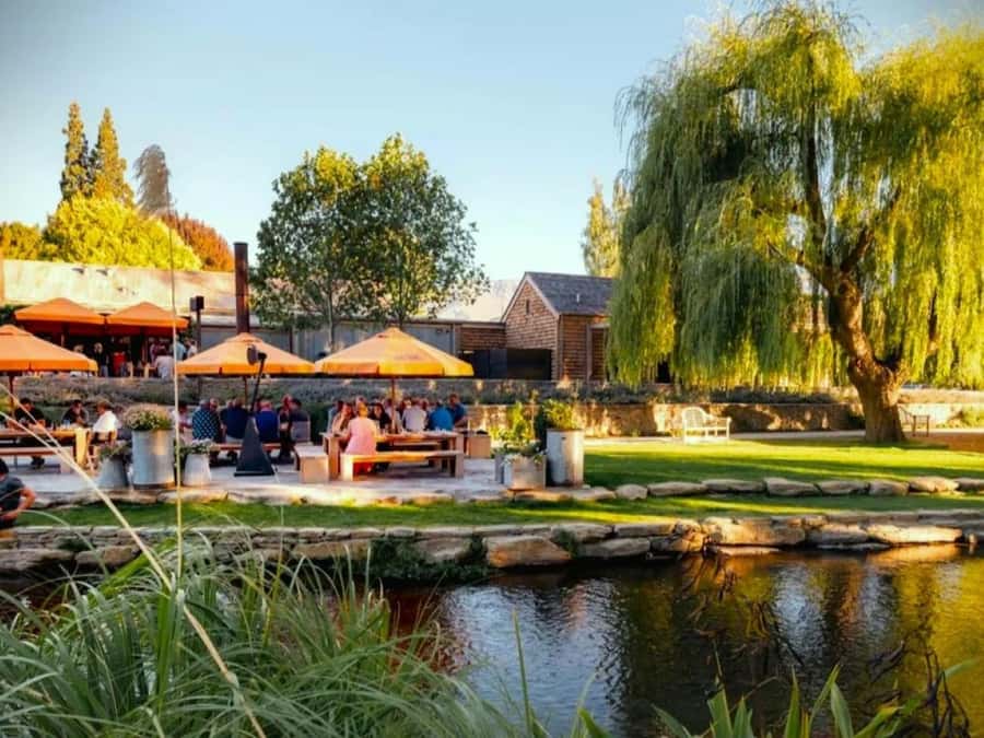 Queenstown, Arrowtown, Gibbston: Flexible Wine Hopper Tours - Arrowtown, Amisfield, and the newer venues