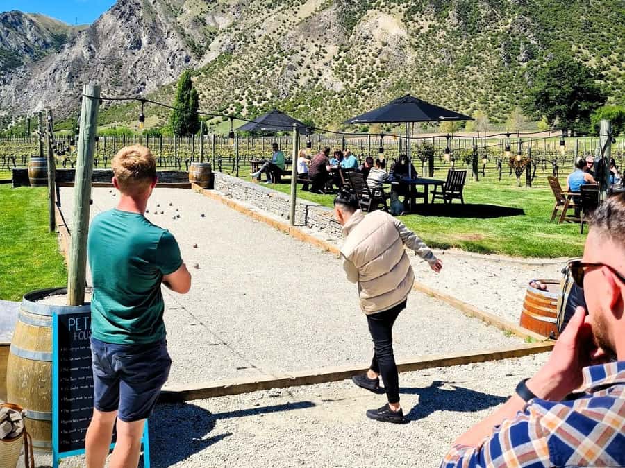 Queenstown, Arrowtown, Gibbston: Flexible Wine Hopper Tours - Six hours, small groups, and the real cost