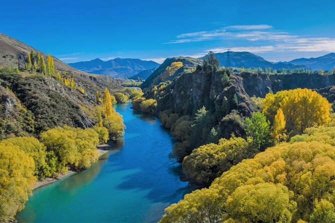 Queenstown Classic Wine Tour: 3 Winery Visits, Cave Tour & Cheese - What the timing and transport mean for you
