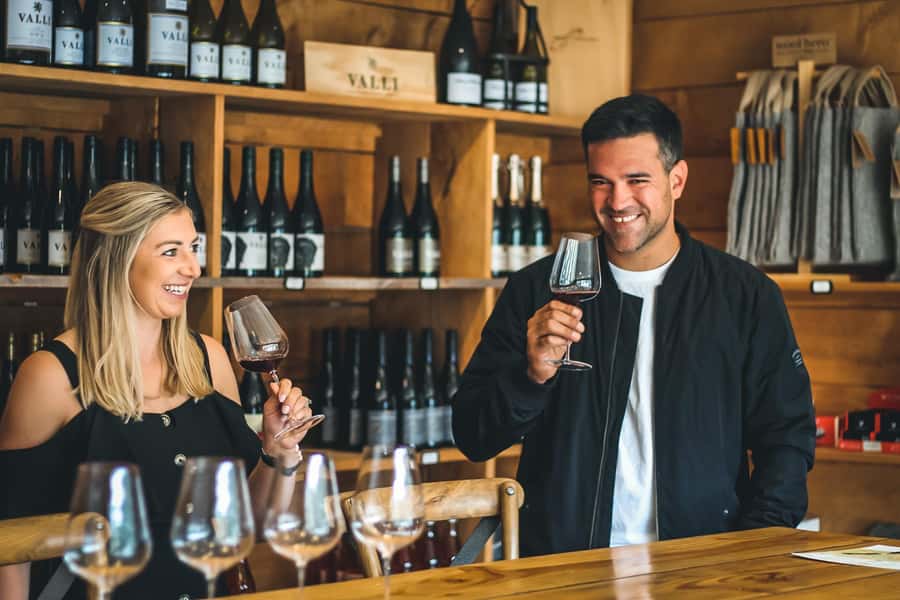 Queenstown: Classic Wine Tour - Gibbston Valley’s underground wine cave