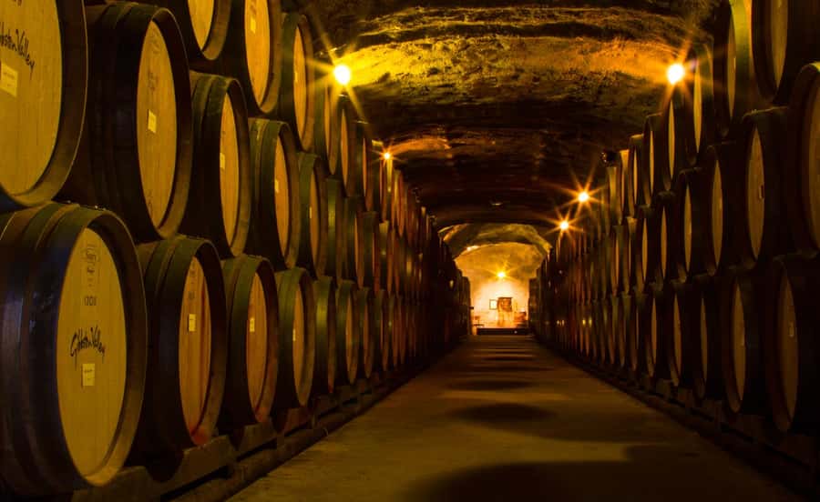 Queenstown: Classic Wine Tour - Transport through the Kawarau Gorge
