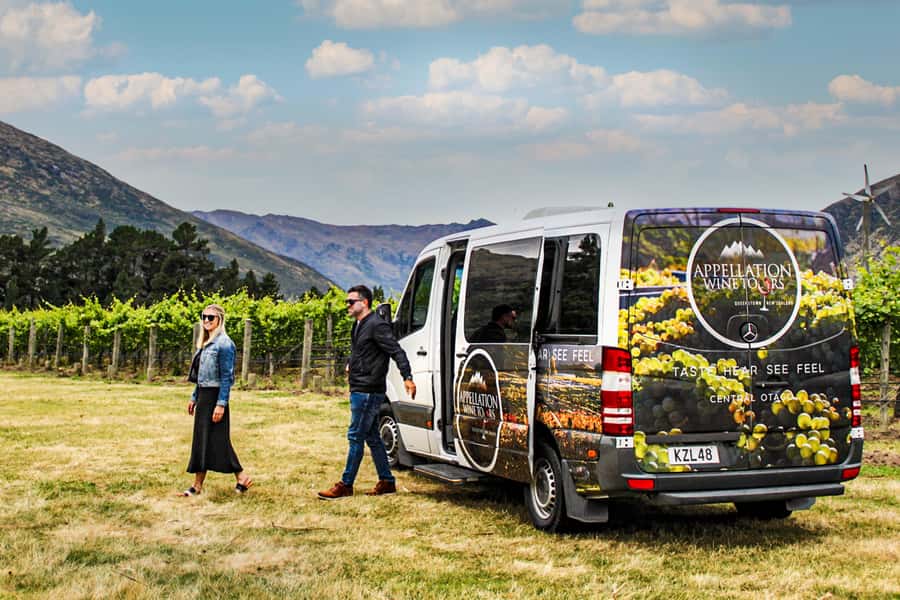 Queenstown: Classic Wine Tour - Practical advice for a smoother afternoon