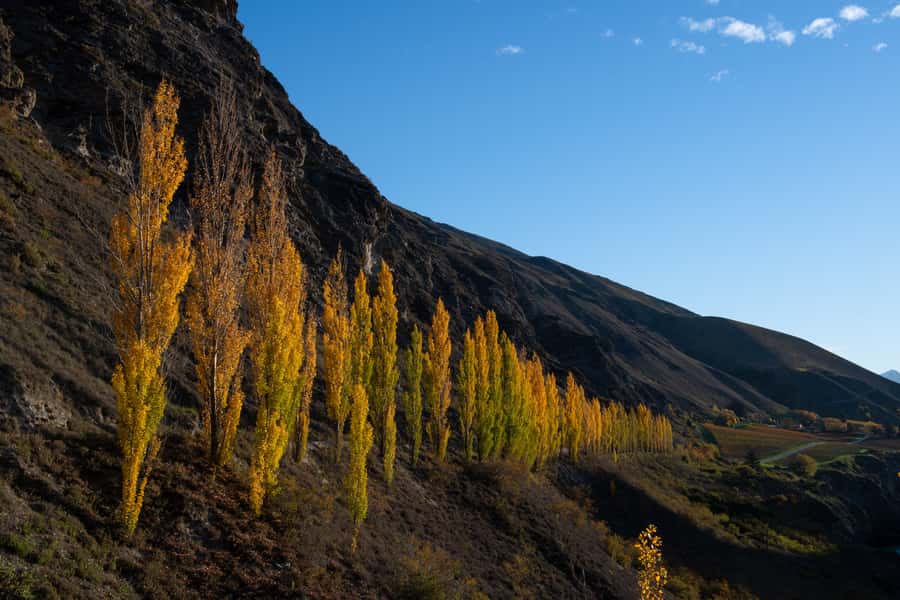 Queenstown: Craft Beer Brewery Tour with Lunch - What the $110 price really covers
