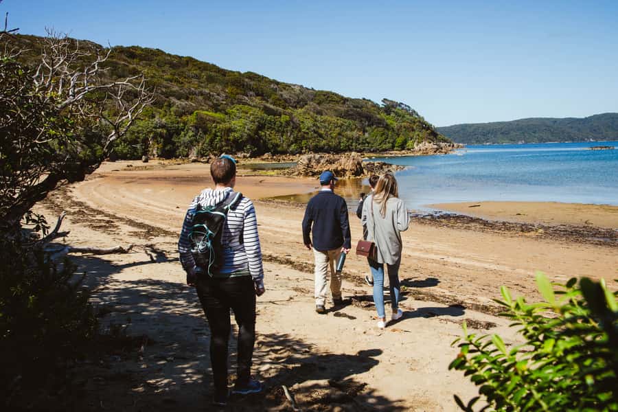 Queenstown: Day Trip to Stewart Island via Scenic Flight - Who will get the most from this Stewart Island trip?