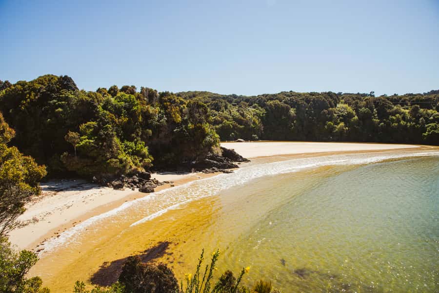 Queenstown: Day Trip to Stewart Island via Scenic Flight - Weather, timing, and practical planning