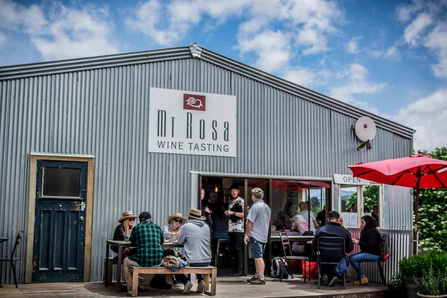 Queenstown & Gibbston Valley: Hop-On Hop-Off Wine Tours - Queenstown and Arthur’s Point: action before the cellar doors