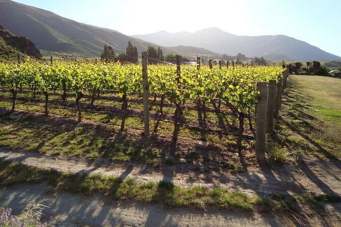 Queenstown Gin and Whiskey tours - How much value do you get for $462?