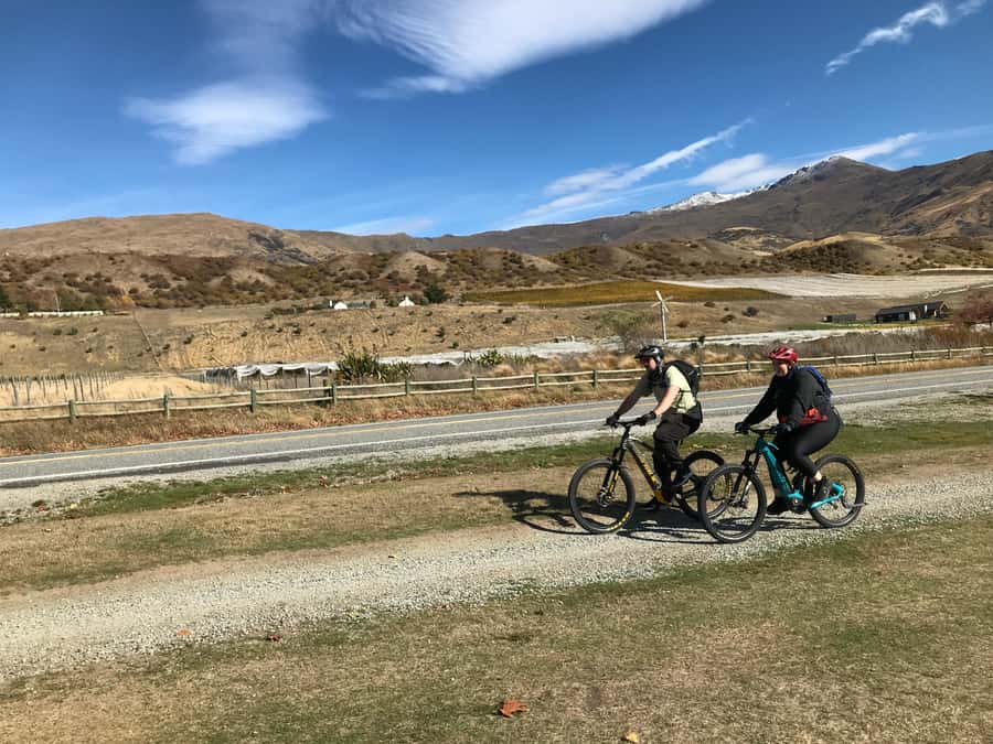Queenstown: Guided E-Bike Tour with Winery Visits & Tastings - Who will enjoy this ride most