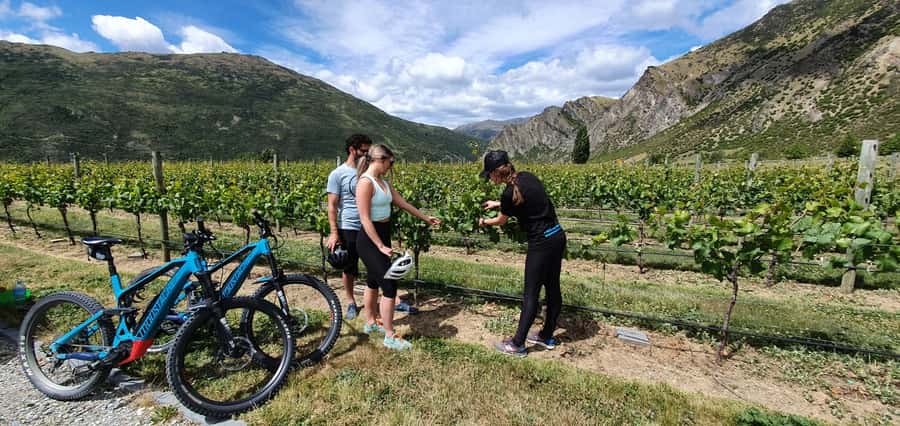 Queenstown: Guided E-Bike Tour with Winery Visits & Tastings - Why this is a smart way to see Queenstown’s wine country