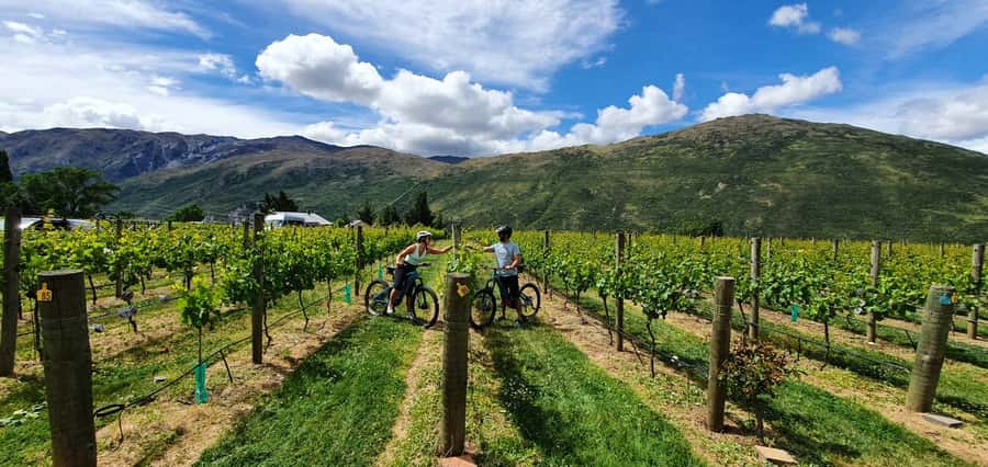 Queenstown: Guided E-Bike Tour with Winery Visits & Tastings - Arrowtown and the Arrow River