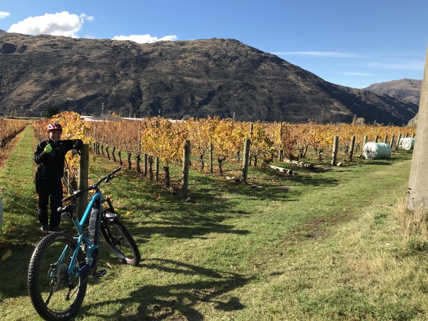 Queenstown: Guided E-Bike Tour with Winery Visits & Tastings - Gibbston Valley and the vineyard ride