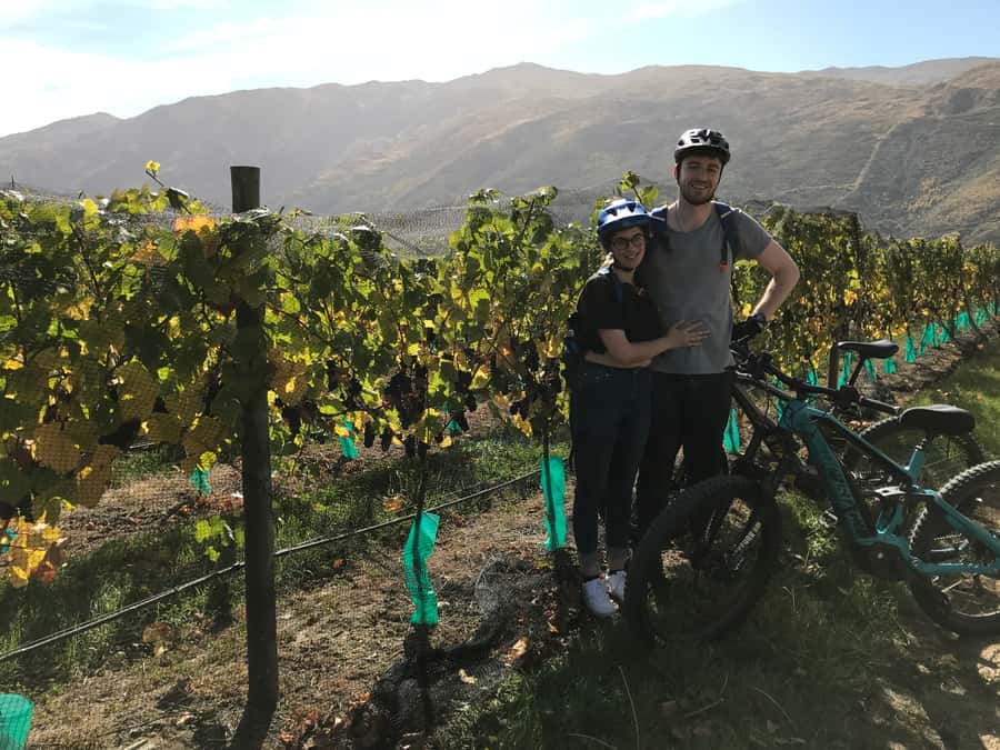 Queenstown: Guided E-Bike Tour with Winery Visits & Tastings - What $194 includes and what it means