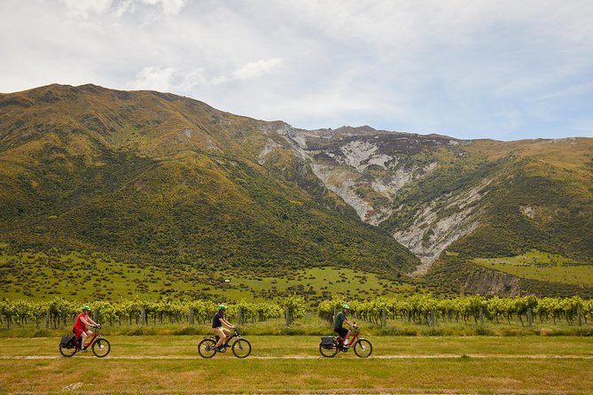 Queenstown Guided E-bike Wine Tour - Starting in Arrowtown at 1:30 pm