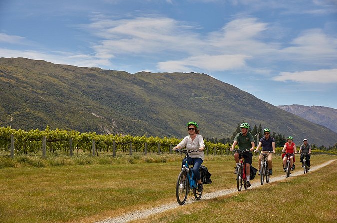 Queenstown Guided E-bike Wine Tour - Pausing at Kawarau Suspension Bridge