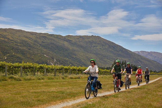Queenstown Guided E-bike Wine Tour - Weather, fitness, and practical comfort